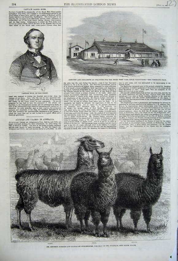 Old Antique Print 1861 Ledger'S Llamas Sopienburg Moir Armoury Bradford 19th