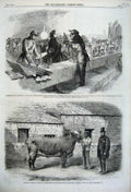 Original Old Antique Print 1861 Gunter'S Prize Cow Rifle Volunteers Westminster