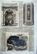 Old Antique Print 1861 Tasmanian Devil Horticultural Society Garden Watt 19th