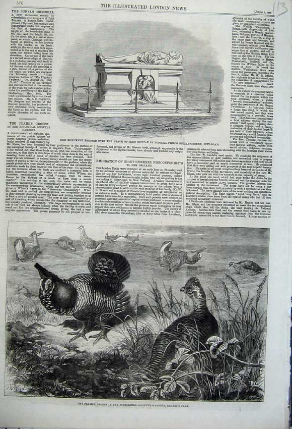 Original Old Antique Print 1862 Prairie Grouse Zoological Monument Grave Bunyan