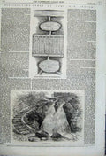 Old Antique Print 1862 Salmon Breeding Ponds Stairs Water Fall River Fish 19th