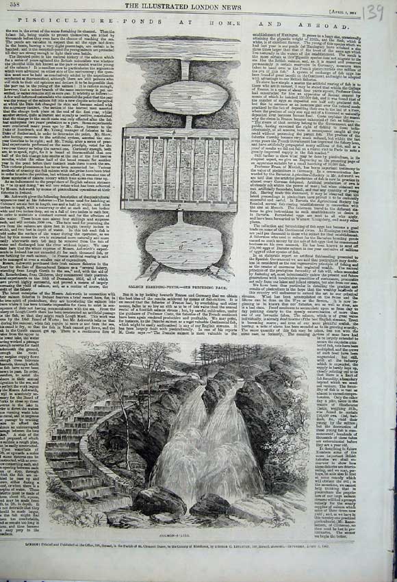 Old Antique Print 1862 Salmon Breeding Ponds Stairs Water Fall River Fish 19th