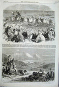 Old Antique Print Washoe Virginia Davidson Cedar 1862 Quail Birds Syria 19th