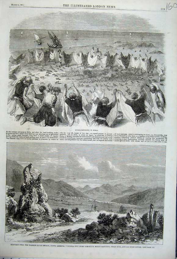 Old Antique Print Washoe Virginia Davidson Cedar 1862 Quail Birds Syria 19th