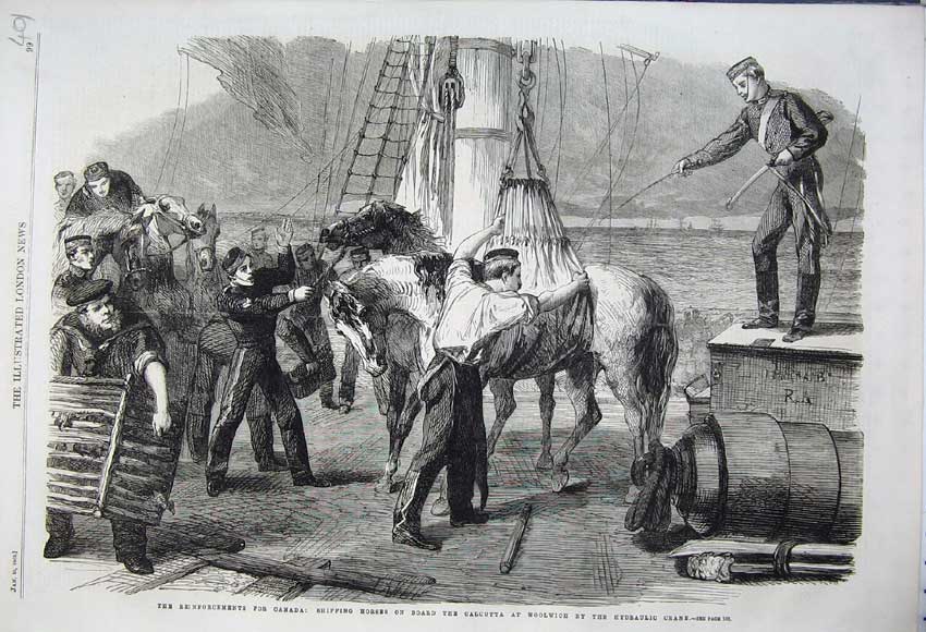 Old Antique Print 1862 Canada Shipping Horse Calcutta Ship Woolwich Crane 19th
