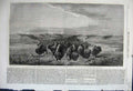 Original Old Antique Print 1862 Herd Bisons Crossing River Upper Missouri Hays