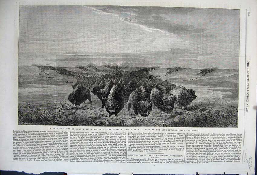Original Old Antique Print 1862 Herd Bisons Crossing River Upper Missouri Hays