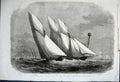 Original Old Antique Print 1862 Schooner Royal Thames Yacht Club Leonora Shark