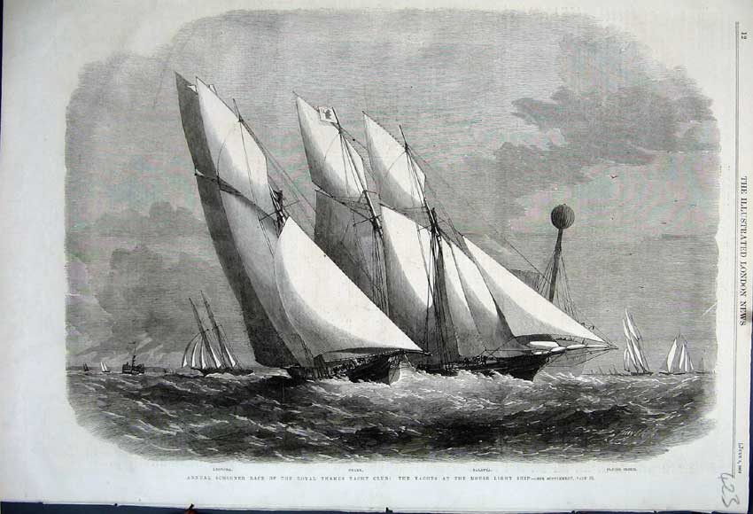 Original Old Antique Print 1862 Schooner Royal Thames Yacht Club Leonora Shark