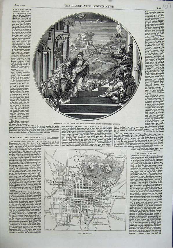 Old Antique Print 1863 Plan Puebla Majolica Plateau Kensington Museum Art 19th
