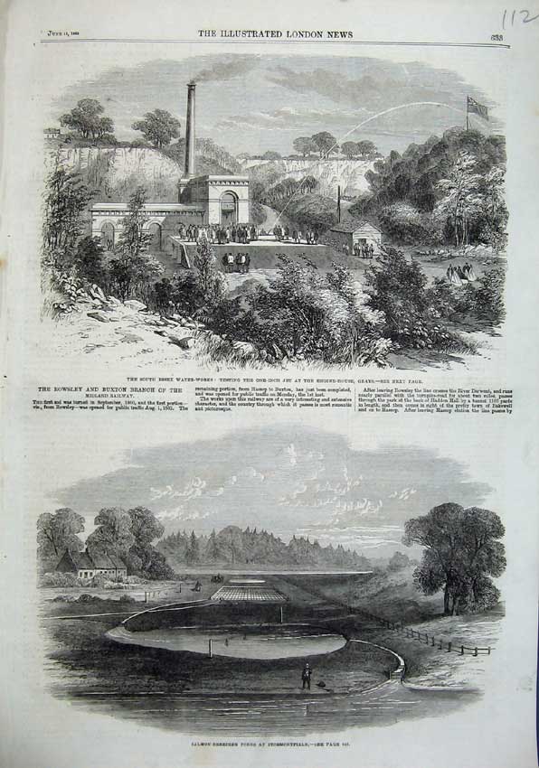 Old Antique Print 1863 Salmon Fish Ponds Stormontfield Essex Water Works 19th