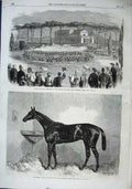 Old Antique Print 1863 Military Carrousel Garden Borghese Rome Maccaroni 19th