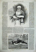 Old Antique Print Dossabhoy Sorabjee Bombay 1863 Magpie-Larks Australia 19th