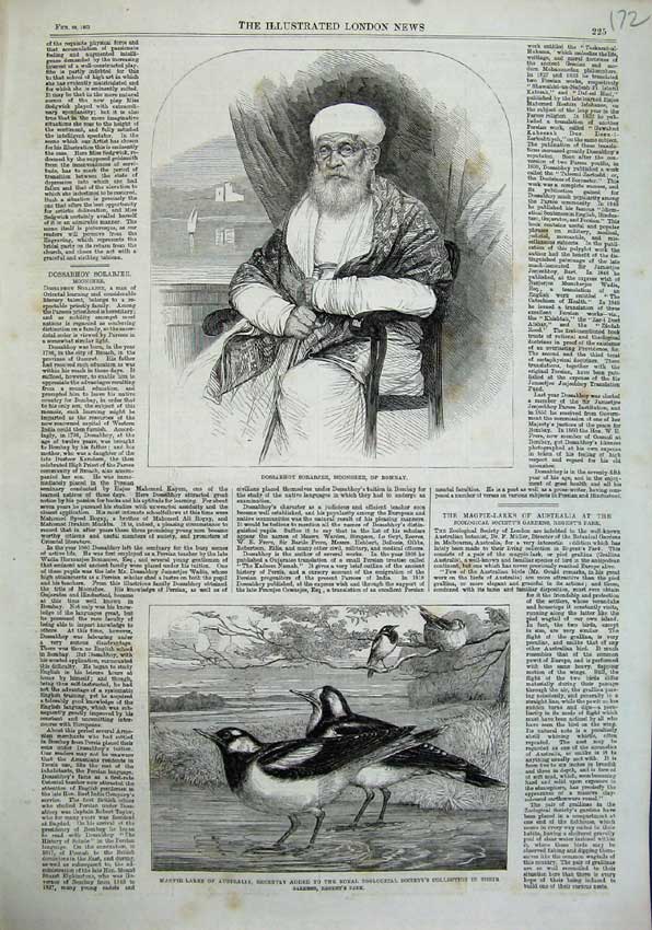 Old Antique Print Dossabhoy Sorabjee Bombay 1863 Magpie-Larks Australia 19th
