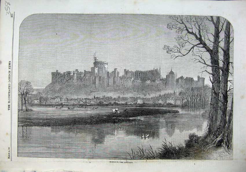 Original Old Antique Print 1863 Windsor Castle Queen Town Houses Lake Swan Cows