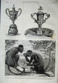 Old Antique Print 1860 Red Howling Monkeys Zoological Vase Grant Pearse 19th