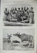 Old Antique Print Native Chiefs New Zealand 1863 Wild Ox Pegu Banteng Zoo 19th