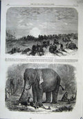 Old Antique Print 1863 Elephant Children India Guebers Worshiping Sun Art 19th