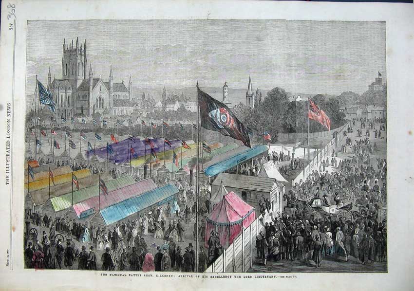 Old Antique Print 1863 National Cattle Show Kilkenny Lord Lieutenant Art 19th