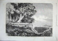 Old Antique Print 1863 Kabar Council War Madagascar Ships Trees Fine Art 19th
