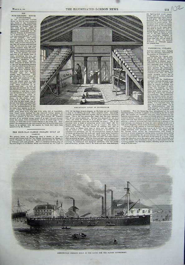 Old Antique Print 1864 Fish Rearing Twickenham Ship Frigate Armour-Clad 19th