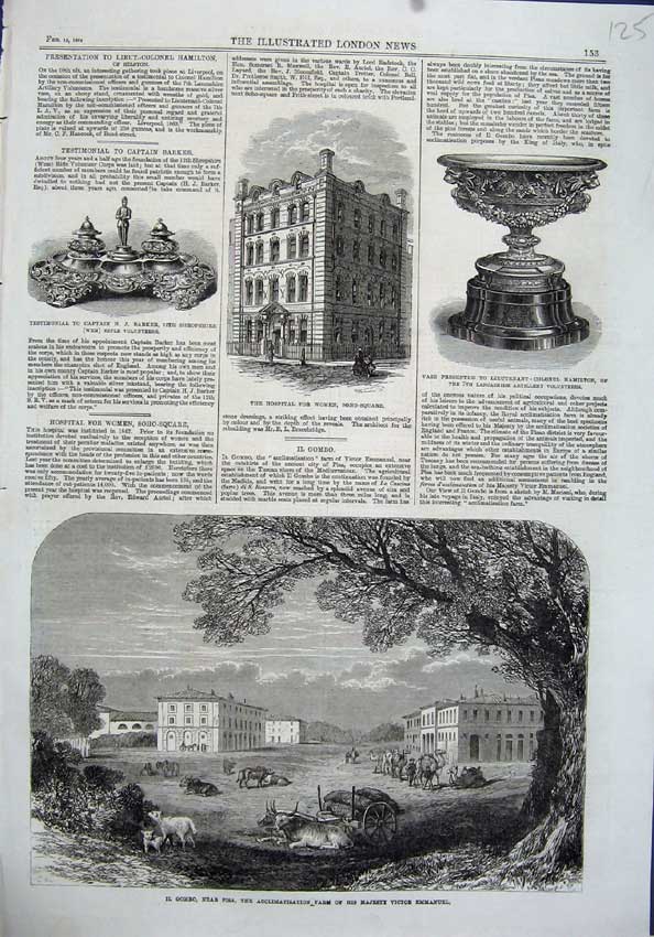 Old Antique Print 1864 Il Gombo Farm Emmanuel Hospital Vase Hamilton Art 19th