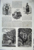 Original Old Antique Print 1864 Tomb Potatau Helmingham Church Cemetery Maori