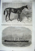 Old Antique Print 1864 Blair Athol Horse Derby Steamer Ship Avalon Sail 19th