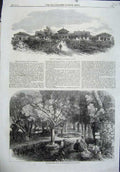 Old Antique Print Fish Nurseries France 1864 Ponds Huningue Trees Houses 19th