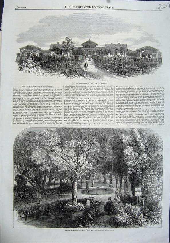 Old Antique Print Fish Nurseries France 1864 Ponds Huningue Trees Houses 19th