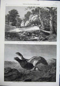 Original Old Antique Print 1864 Combe Farm River Bridge Wild Bird Weir Fine Art