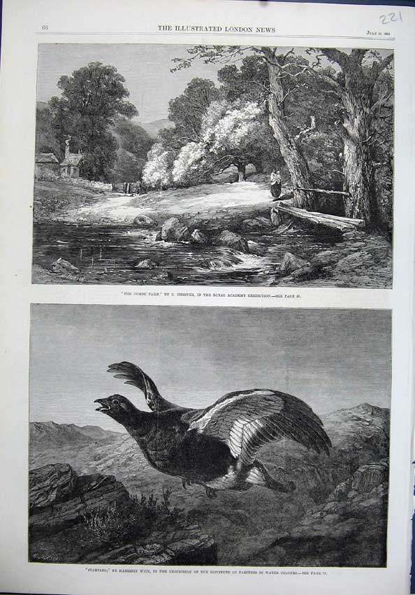 Original Old Antique Print 1864 Combe Farm River Bridge Wild Bird Weir Fine Art