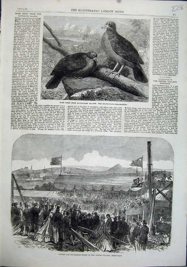 Old Antique Print Birds Didunculus Strigirostris 1864 College Edinburgh 19th