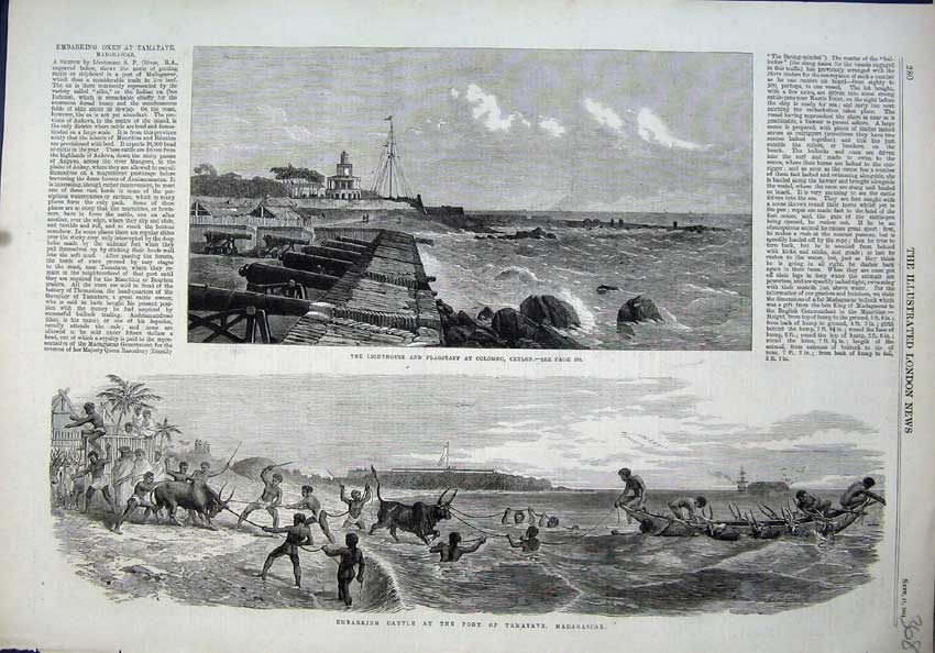 Old Antique Print 1864 Lighthouse Flagstaff Ceylon Cattle Madagascar Sea 19th