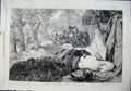 Original Old Antique Print 1864 Dead Swan Peacock Birds Horses Duffield 19th