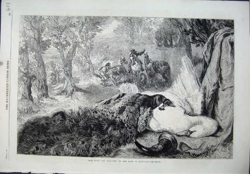 Original Old Antique Print 1864 Dead Swan Peacock Birds Horses Duffield 19th
