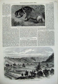 Old Antique Print Japanese Badgers 1865 Review Sham Fight Somerford War 19th
