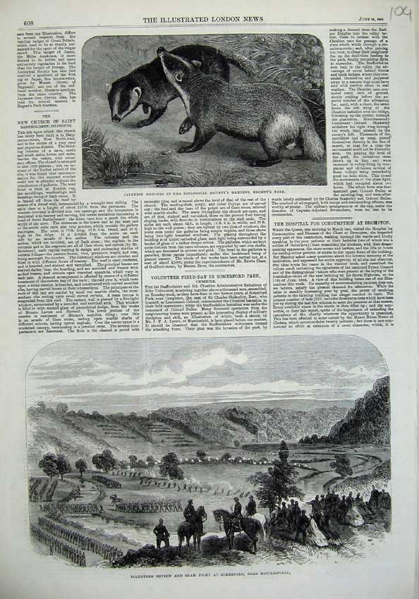 Old Antique Print Japanese Badgers 1865 Review Sham Fight Somerford War 19th