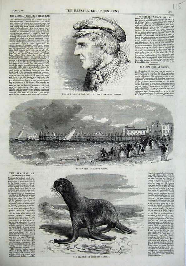 Old Antique Print 1865 Sea-Bear Cremorne Gardens Pier Bognoe Darling Art 19th