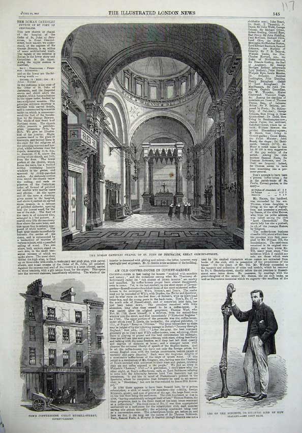 Old Antique Print 1865 Roman Catholic Chapel Ormond Street Leg Dinornis 19th
