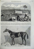 Old Antique Print Sheep Washing Australia 1865 Gladiateur Newmarket Horse 19th