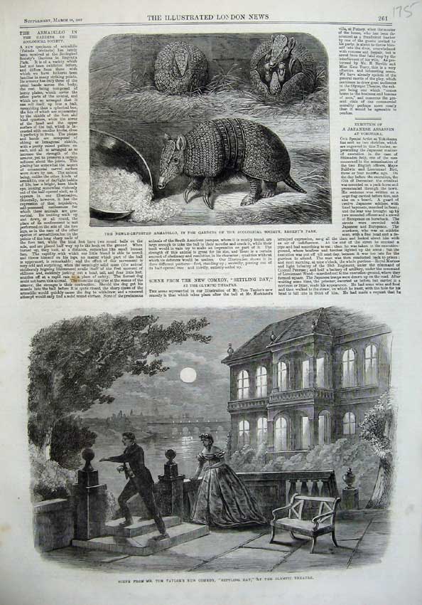 Old Antique Print 1865 Armadillo Zoological Olympic Theatre Settling Day 19th