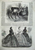 Original Old Antique Print Paris Fashion 1865 Prong-Horned Antelope Zoological