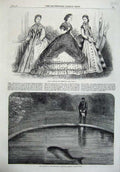 Old Antique Print Paris Fashion 1865 Porpoise Zoological Gardens Regent'S 19th
