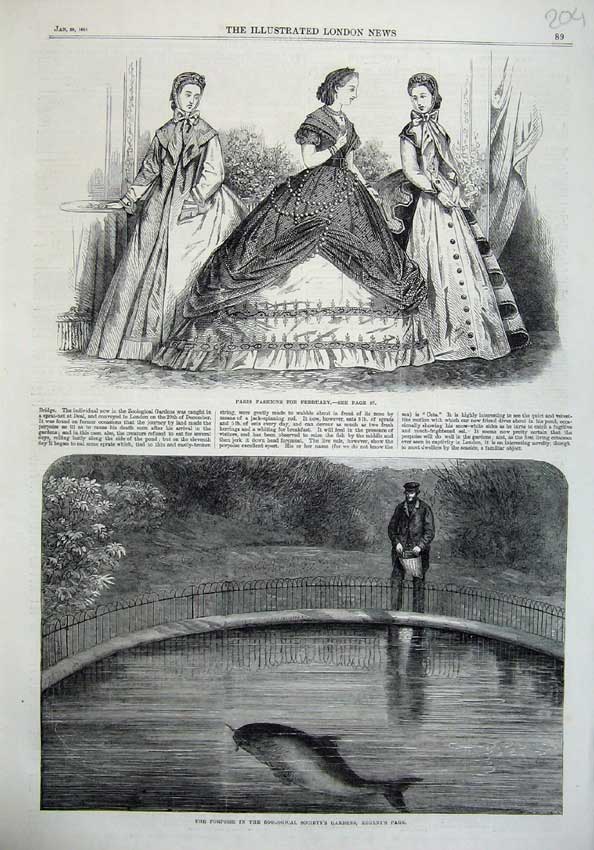 Old Antique Print Paris Fashion 1865 Porpoise Zoological Gardens Regent'S 19th