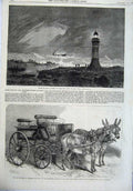 Original Old Antique Print Ship Wreck Athens Cape Good Hope 1865 Donkeys Coutts