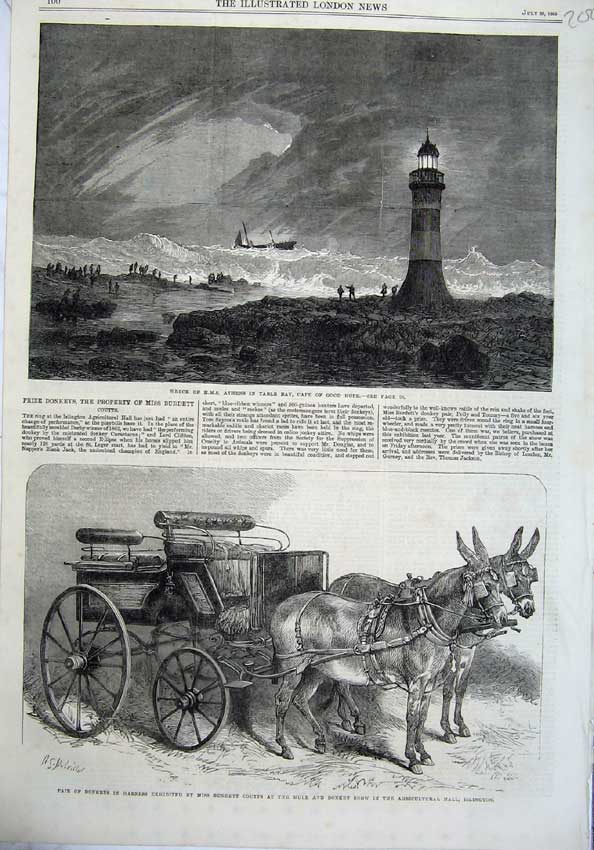 Original Old Antique Print Ship Wreck Athens Cape Good Hope 1865 Donkeys Coutts