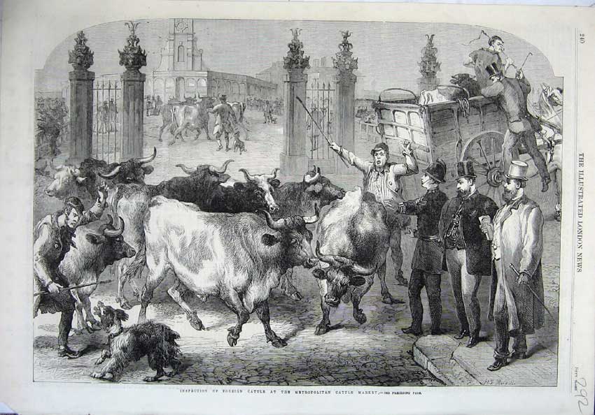 Old Antique Print 1865 Inspection Foreign Cattle Metropolitan Market Dog 19th