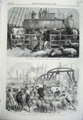 Old Antique Print 1865 Foreign Cattle Batavier Steamer Ship Wharf Docks 19th