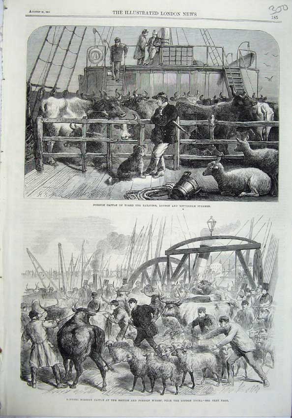 Old Antique Print 1865 Foreign Cattle Batavier Steamer Ship Wharf Docks 19th